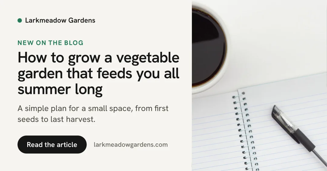 Article cover, Blog Essentials · Clean, LinkedIn landscape
