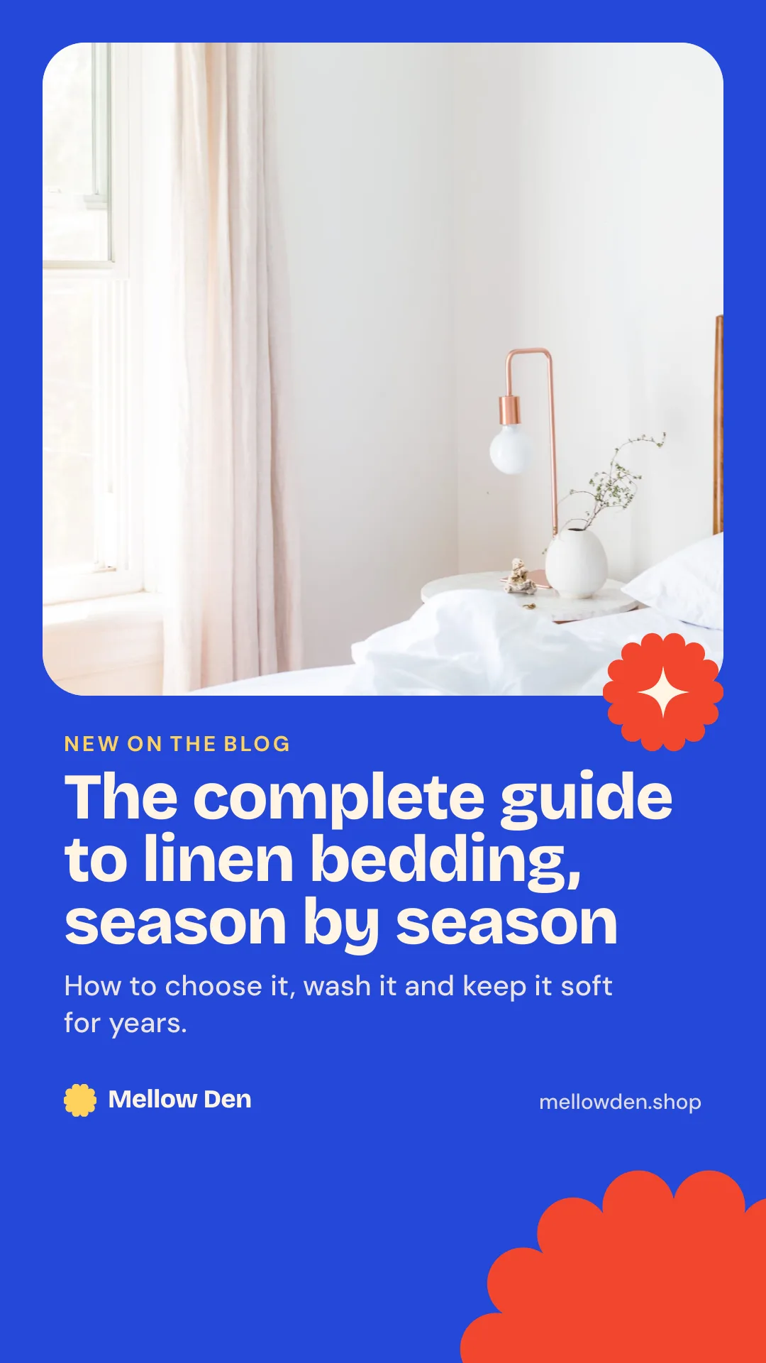 Article story, Shop & E-commerce · Bold, Instagram / Facebook story